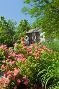 Nutgrove Garden Apartments property